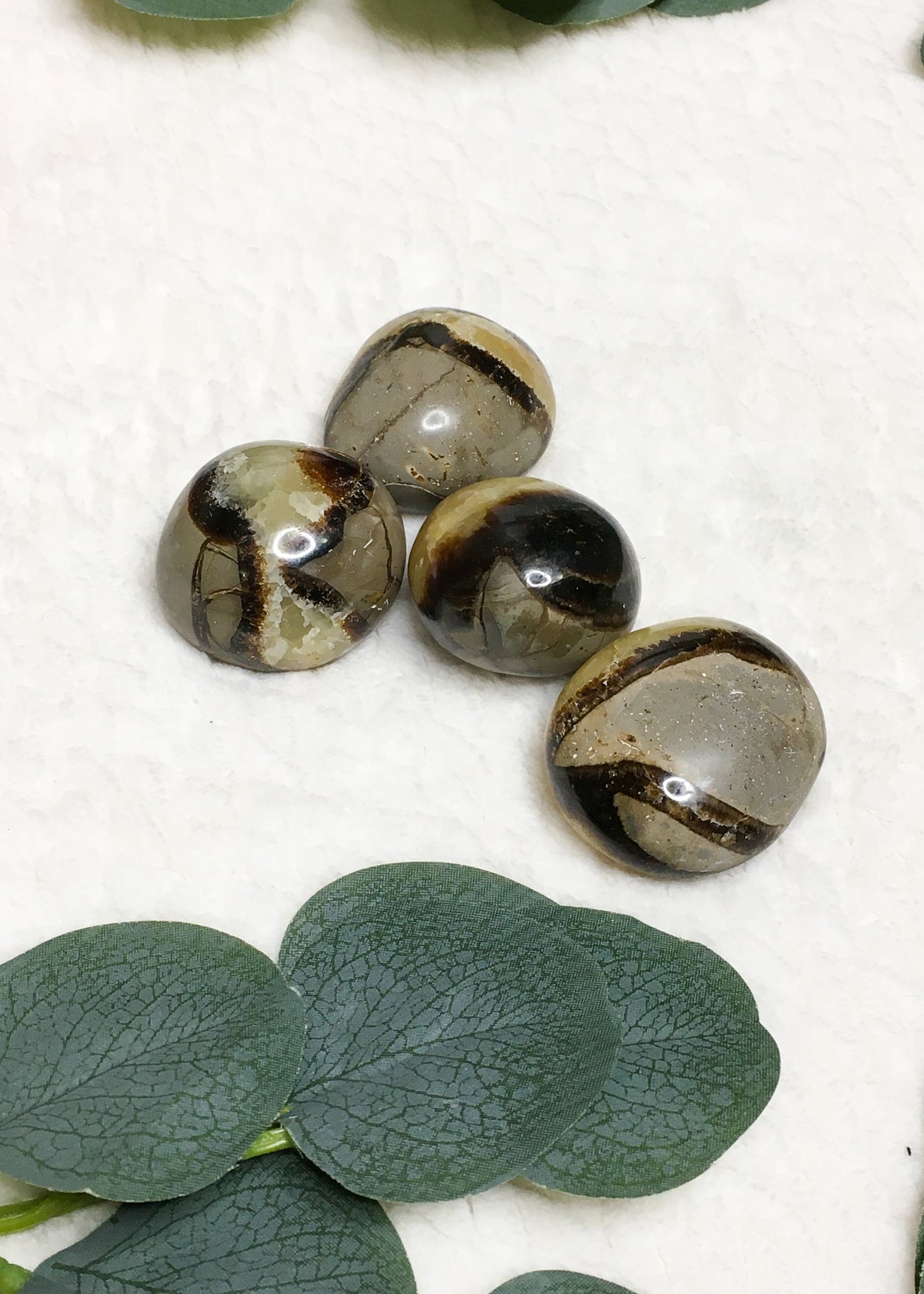 Septarian Crystal