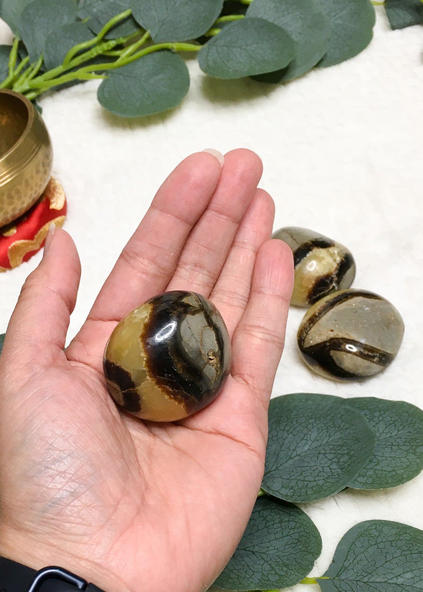 Septarian Crystal