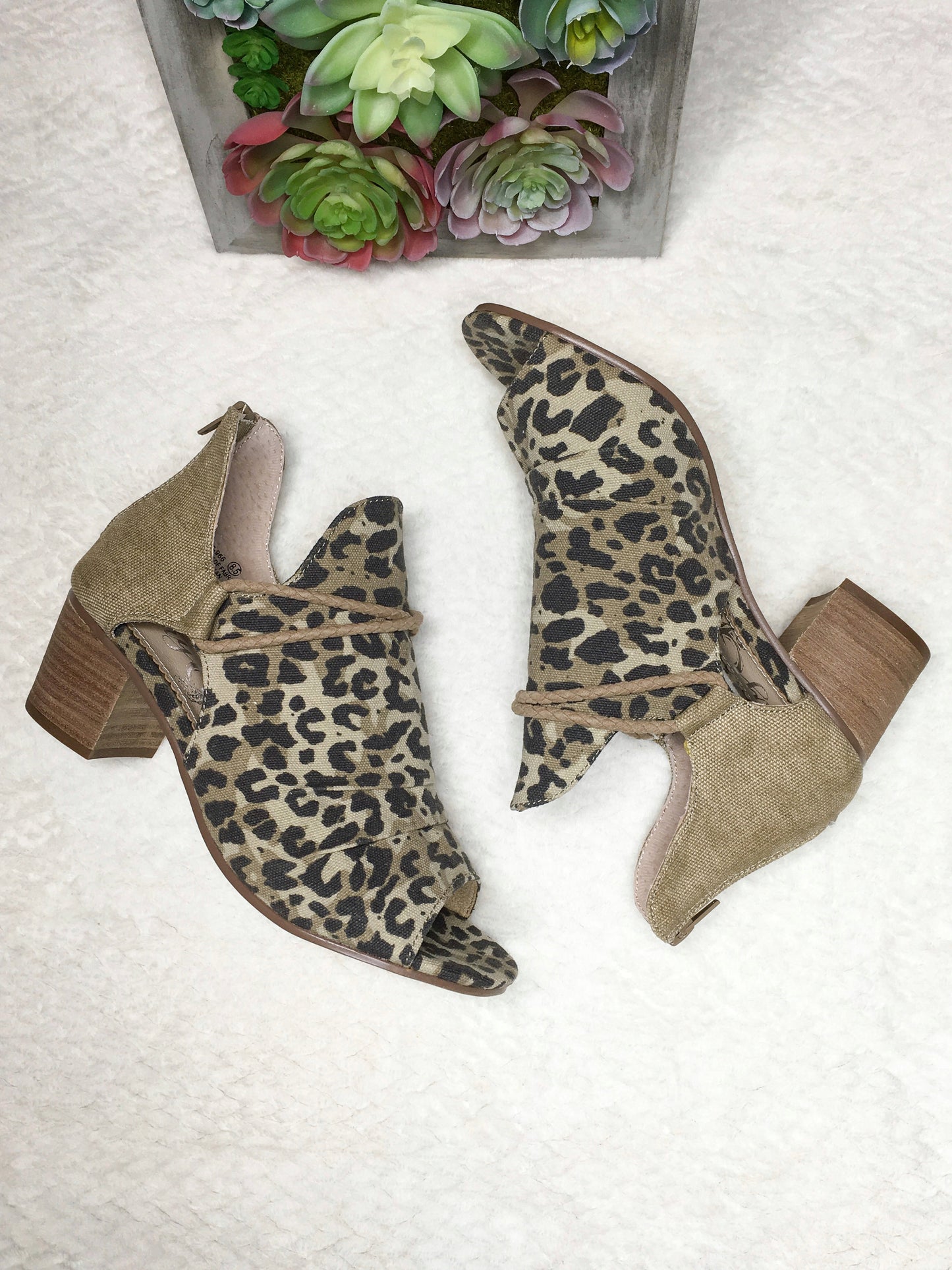Sillian- Tan Leopard