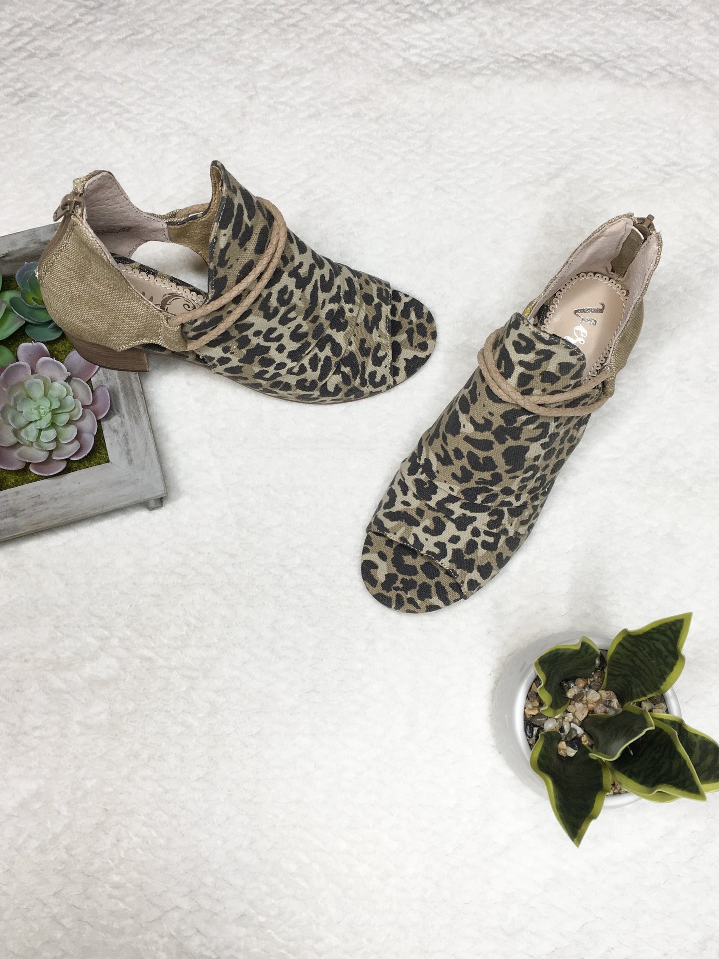 Sillian- Tan Leopard